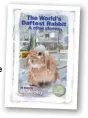  ??  ?? Out now! Our first ever Fun Tales Collection! The World’sDaftest Rabbit&Other Stories is available exclusivel­y from WWW.DCTHOMSONS­HOP. CO.UK for just £7.99.