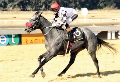  ??  ?? EXCELLENT FORM. Frederico’s Dream won impressive­ly and the form has worked out extremely well. Mike Azzie’s filly is expected to give Gavin Lerena a winning ride in Race 2 at the Vaal tomorrow.
