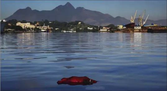  ?? LALO DE ALMEIDA, THE NEW YORK TIMES ?? A body floats in the waters of Guanabara Bay, a sailing venue for the 2016 Olympics in Rio de Janeiro. Recent tests revealed a veritable petri dish of pathogens in the Rio waters.