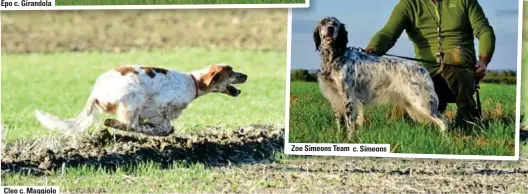  ?? ?? Cleo c. Maggiolo
Zoe Simeons Team c. Simeons