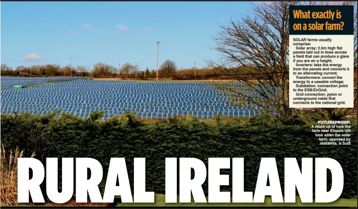  ??  ?? futureproo­f: A mock-up of how the farm near Kinsale will look when the solar farm, opposed by residents, is built