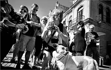  ?? RAMON ESPINOSA/AP ?? Tourists snap photos of one of the dogs protected by workers in Havana. U.S. tourism spending at private-sector businesses seems to be falling in Cuba.