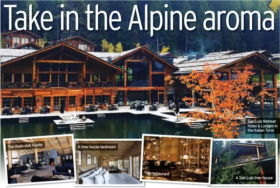  ??  ?? The main club house
A tree house bedroom
The restaurant
San Luis Retreat Hotel & Lodges in the Italian Tyrol
A San Luis tree house