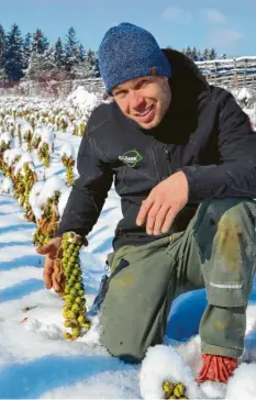  ?? Foto: Andrea Schmidt‰Forth ?? Jetzt ist der Schnee wieder weg, aber vor kurzer Zeit bekam der Rosenkohl im Betrieb von Michael Hagenbusch noch Frost ab. Er hält das aus.