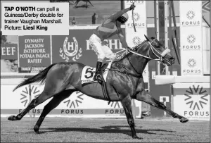  ?? Picture: Liesl King ?? TAP O’NOTH can pull a Guineas/Derby double for trainer Vaughan Marshall.