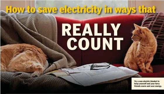  ??  ?? Try a non-electric blanket to keep yourself and your furry friends warm and save energy.