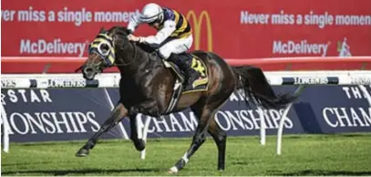  ?? Photo / Bradley Photograph­y ?? PA036Newsh­ole7
Quick Thinker has been pulled out of tomorrow’s Sydney Cup.