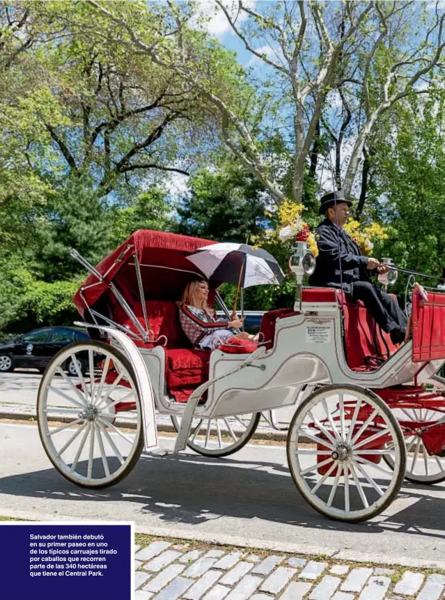  ??  ?? Salvador también debutó en su primer paseo en uno de los típicos carruajes tirado por caballos que recorren parte de las 340 hectáreas que tiene el Central Park.