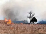  ?? [PHOTO BY SARAH PHIPPS, THE OKLAHOMAN] ?? Wildfire flames spread in a field near SE 134.