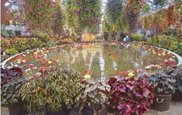  ??  ?? Nabana no Sato, a botanical garden with one of the biggest flower parks in the Tokai region. It’s got a big greenhouse of begonias and roses from all over the world.