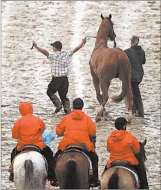  ?? JAMIE SQUIRE/GETTY ?? Country House, above, won last year’s Kentucky Derby after a stewards ruling.