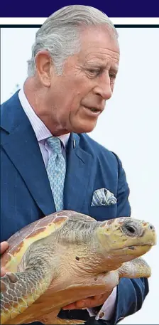  ??  ?? Speaking out: The prince releases a turtle yesterday