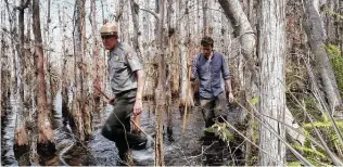  ?? CBS News ?? Knighton, right, learned about local wildlife from Everglades National Park ranger Alan Scott.