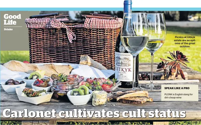  ??  ?? Picnics at Uitkyk estate are an epitome of the great outdoor. SPEAK LIKE A PRO PLONK is English slang for dirt-cheap wine