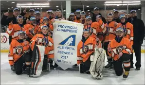  ?? SUBMITTED PHOTO ?? Medicine Hat’s peewee A Hounds celebrate a provincial title Sunday in Lloydminst­er.