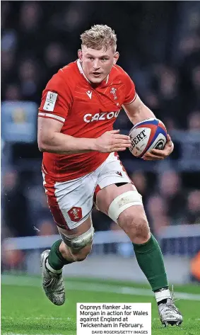  ?? DAVID ROGERS/GETTY IMAGES ?? Ospreys flanker Jac Morgan in action for Wales against England at Twickenham in February.