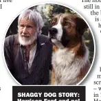  ??  ?? SHAGGY DOG STORY: Harrison Ford and pal Buck in the new film