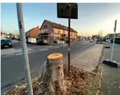  ?? FOTO: TOBIAS DUPKE ?? Die Stadt Hilden hat an der Richard-Wagner-Straße Bäume fällen lassen.