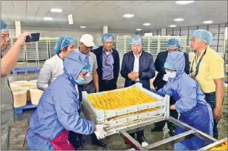  ?? MINISTRY OF COMMERCE ?? Ministry of Commerce undersecre­tary of state Seang Thai (centre right) paid a working visit to inspect Long Wo Fruit Industry Co Ltd’s mango jam factory in Kandal province’s Ang Snuol district last Friday.