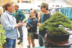  ??  ?? David Morgan, left, of the Tennessee Valley Bonsai Society, instructs Katie Vawter and Blake Steele on the growing of bonsai.