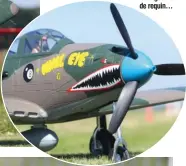  ??  ?? Le look de ce P-39 est inhabituel et très réussi avec sa gueule de requin…