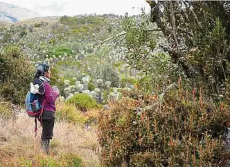  ?? CORTESÍA ?? La megadivers­idad va desde selvas húmedas, extensas sabanas, páramos o cumbres nevadas.