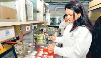  ??  ?? Diversos doctorados reconocido­s por el PNPC y Conacyt son dirigidos por mujeres.