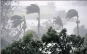  ?? PICTURE: REUTERS ?? Strong wind and rain from Cyclone Debbie lash trees at Airlie Beach, south of the northern Australian city of Townsville, today.