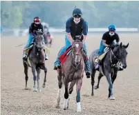  ?? SETH WENIG THE ASSOCIATED PRESS ?? Tap It to Win, centre, works out at Belmont Park in Elmont, N.Y., on Friday. The Belmont Stakes is scheduled to run today.