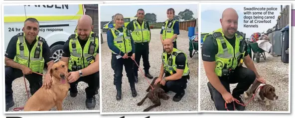  ??  ?? Swadlincot­e police with some of the dogs being cared for at Crowfoot Kennels