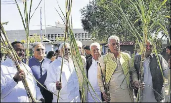  ?? KESHAV SINGH/HT ?? Congress legislator­s holding sugarcane stalks during a protest outside the Vidhan Sabha complex in Chandigarh on Wednesday.