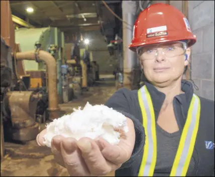  ?? Aaron Besw ick/saltwire Network ?? Northern Pulp spokeswoma­n Kathy Cloutier holds out the bleached kraft pulp made at the Pictou County mill.