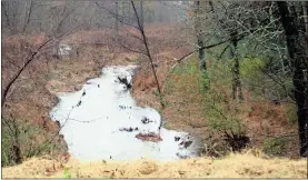  ?? / Doug Walker ?? Burwell Creek at North Avenue is near its banks Saturday afternoon.