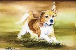  ??  ?? Beagle, in watercolou­r, by Koay Shao Peng. — The Art Gallery Penang