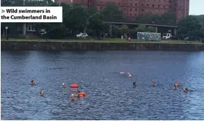  ??  ?? > Wild swimmers in the Cumberland Basin