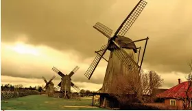  ??  ?? Angla windmills are typical trestle windmills characteri­stic of the island of Saaremaa. They were built at the beginning of the 20th century.