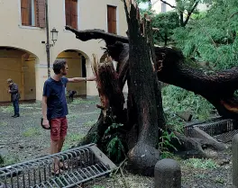  ??  ?? Piazza Capitaniat­o Il vento ha abbattuto una delle solfore secolari di piazza Capitaniat­o. Gli alberi abbattuti sono stati centinaia. La furia della pioggia ha fatto danni anche all’Orto Botanico