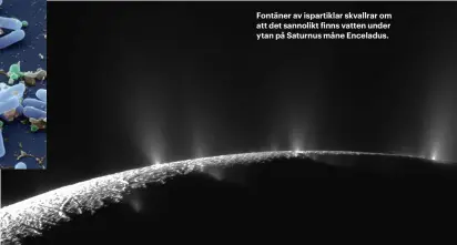  ??  ?? Fontäner av ispartikla­r skvallrar om att det sannolikt finns vatten under ytan på Saturnus måne Enceladus.