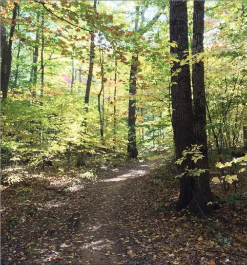  ?? PHOTO PROVIDED ?? Northwoods Nature Preserve