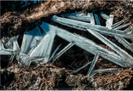  ??  ?? Glass-like shards of ice by the River Coupall, on Rannoch Moor, in the Scottish Highlands.