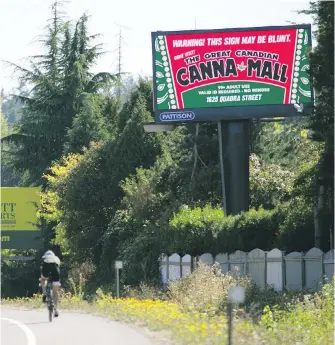  ??  ?? A cyclist rides by a large billboard on the Pat Bay Highway advertisin­g the “Canna Mall,” a collection of businesses targeting marijuana-buying customers.