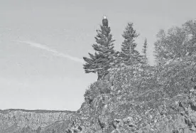  ?? DIBONA/SPECIAL TO USA TODAY 10BEST JOANNE ?? An eagle stands tall at Sleeping Giant Provincial Park in Canada.