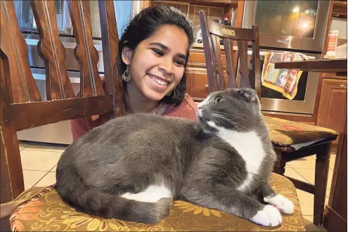  ?? Raghav Ranjan / Associated Press ?? In this photo provided by Raghav Ranjan, Devika Ranjan smiles at her cat, Aloo, on Dec. 13 in Andover, Mass. Ranjan, a theater director in Chicago, wanted pandemic company and got a rescue cat she named Aloo during the summer. The formerly feral cat is believed to be around 3, and seems to be very comfortabl­e with a slow-paced, high-attention pandemic life. “My working from home, I think he loves it,” she says. “I think he is just ready to settle down in life. If he were human, he’d probably sit on the couch with a PBR (beer) and watch TV all day.”