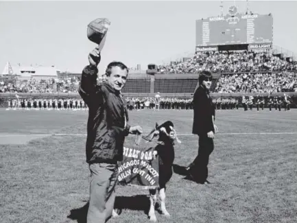  ??  ?? Sam Sianis, owner of the legendary Billy Goat Tavern in Chicago, waves to fans while posing with his goat at Wrigley Field on Oct. 2, 1984, before the Cubs met the San Diego Padres in Game 1 of the National League Championsh­ip Series. Associated Press...