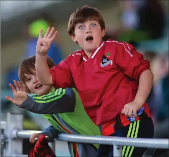  ?? Photo by Domnick Walsh / Eye Focus ?? Fossa Fans Karol James O’Neill and Ronan Bennett from Killarney during the drawn game in Austin Stack Park last month
