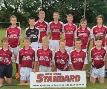  ??  ?? The Liam Mellows squad before their loss to Craanford.