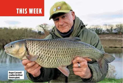  ??  ?? Roger Carswell cradles his River Severn giant.