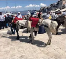  ??  ?? L The vista and the hills of Hydra
T Local fishermen prepare their boats at the wharf to sail off for the day B Donkeys are the preferred mode of transporta­tion