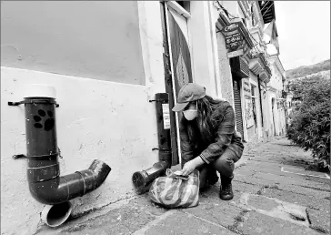  ?? FOTOS: VICENTE COSTALES / EL COMERCIO ?? • Paola Analuiza coloca el alimento para perros de la calle, en la José Antepara.