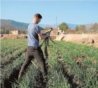  ?? // EP ?? La mano de obra en el campo ha caído un 7,7% en la última década